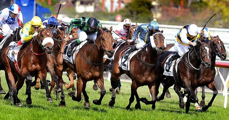 Khám Phá Sức Hút Cá Cược Đua Ngựa K9Win Trong Năm 2026